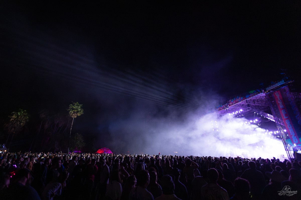 Viva El Gonzo | San Jose Del Cabo, Mexico
