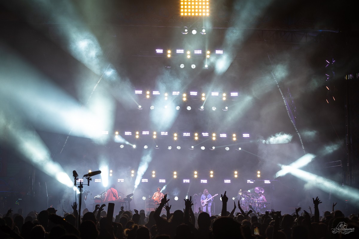 Goose | Viva El Gonzo