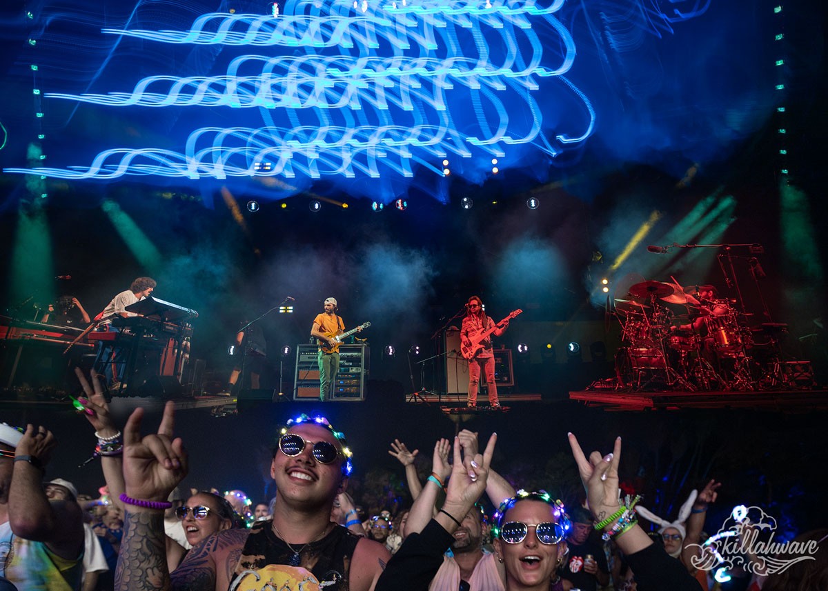 Goose | Viva El Gonzo