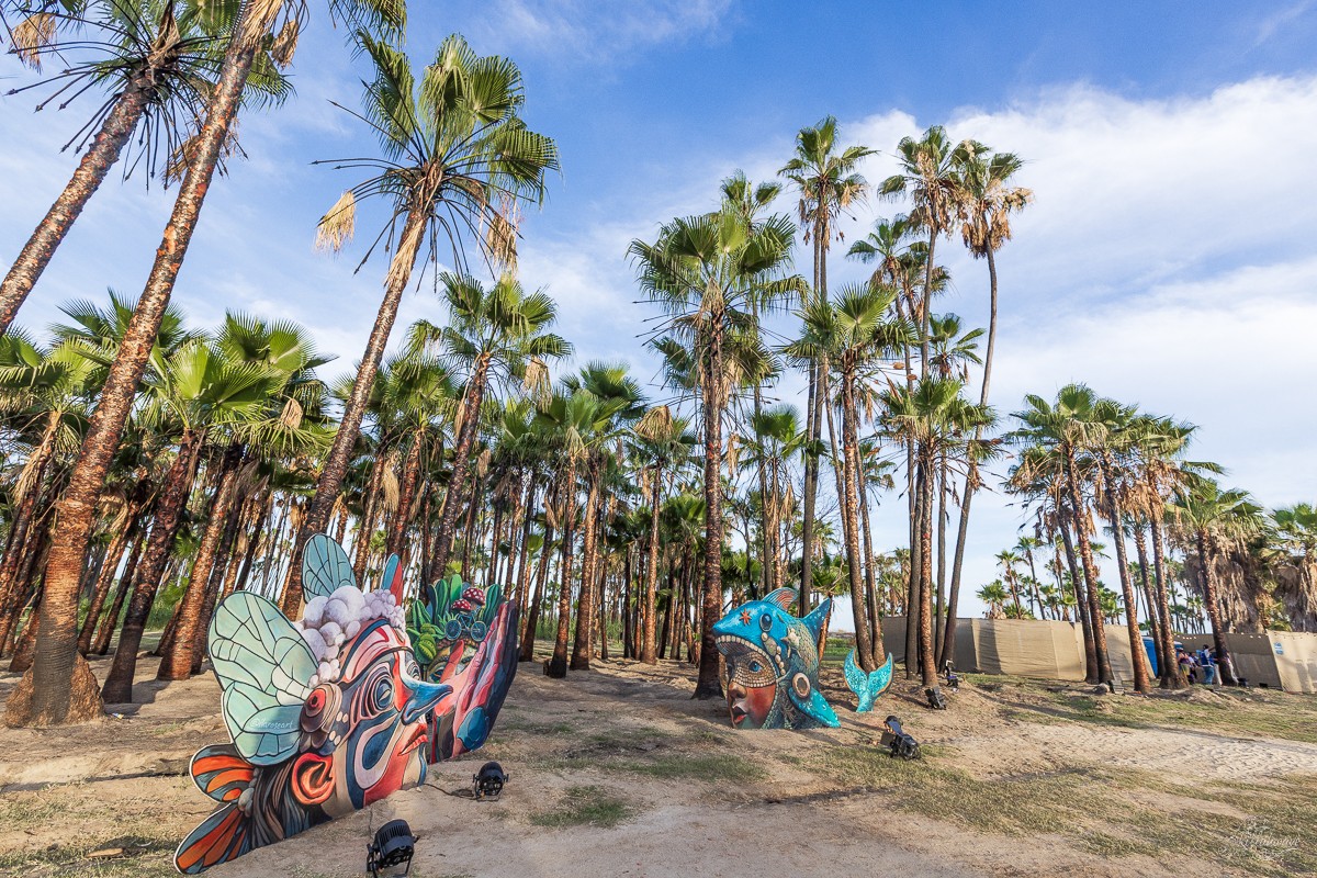 Art Installation by @ilaroseart | Viva El Gonzo