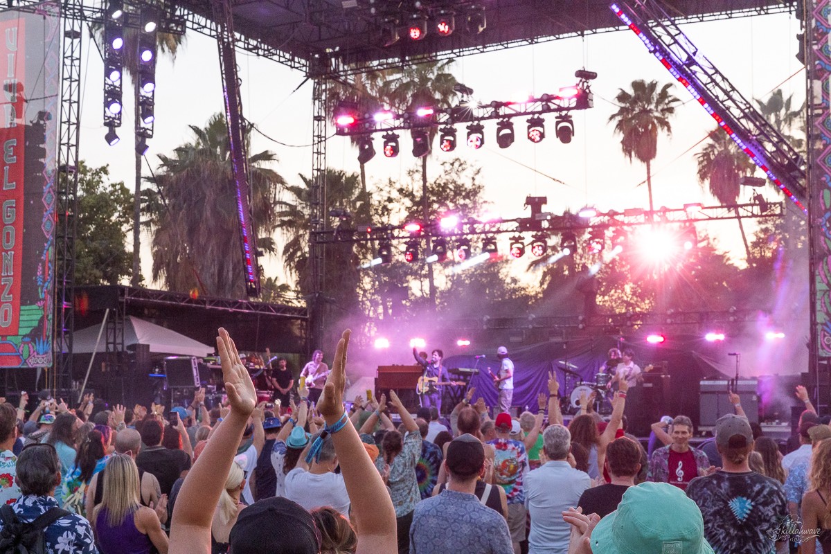 Viva El Gonzo | San Jose Del Cabo, Mexico