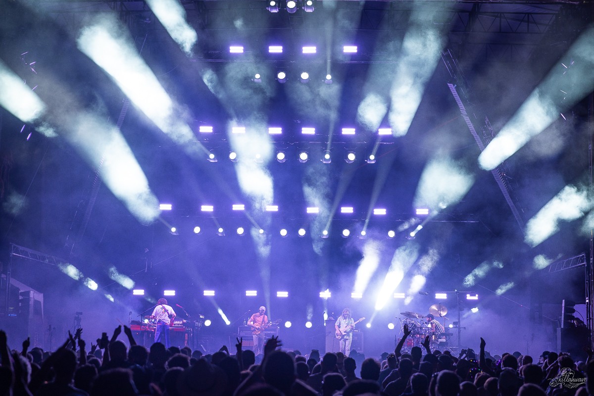 Goose | Viva El Gonzo