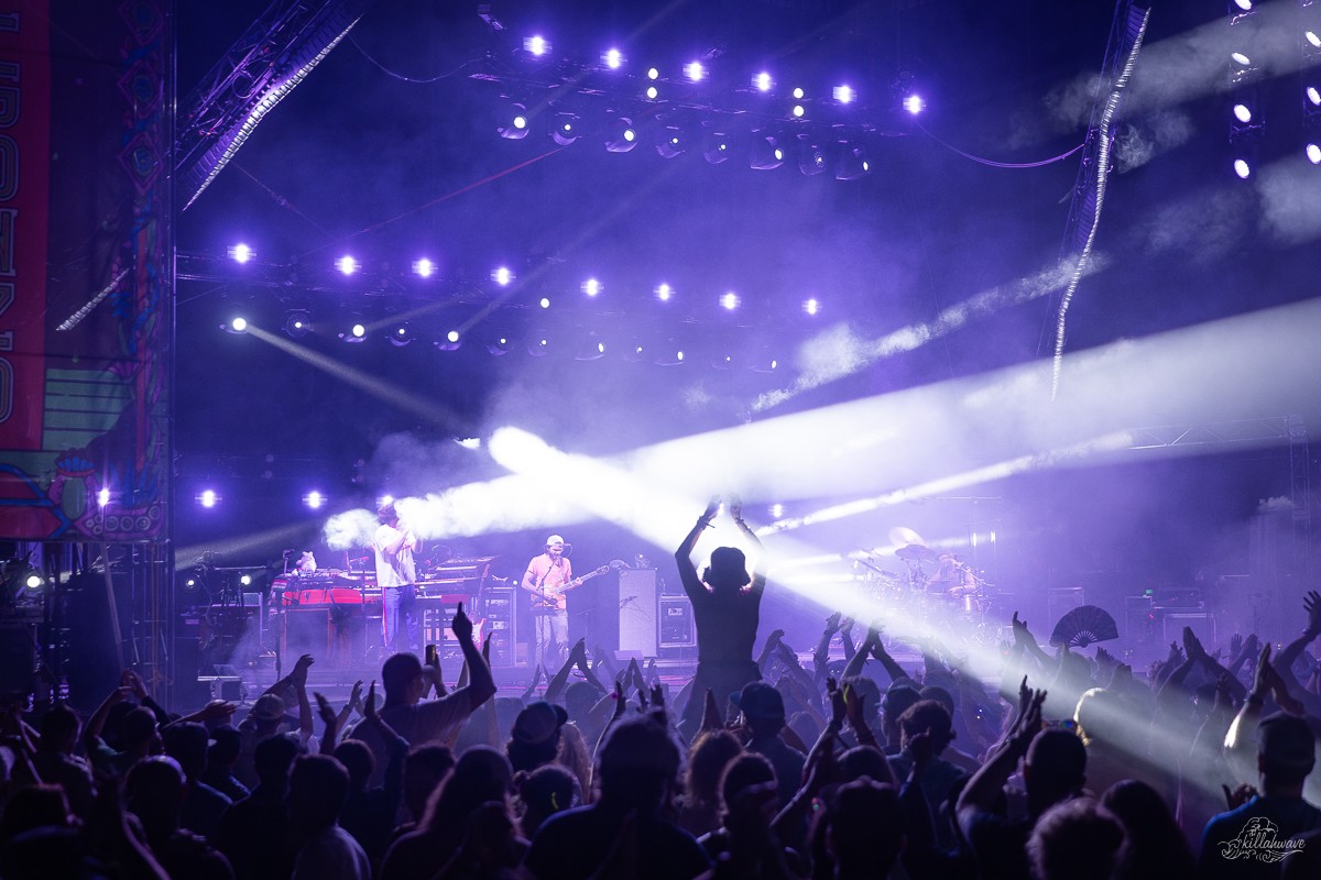 Goose | Viva El Gonzo