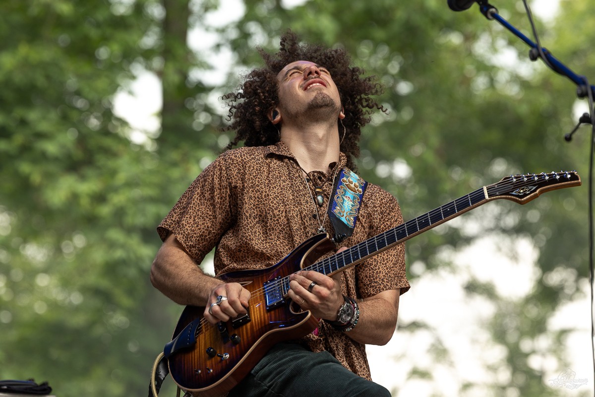 Guitarist Jimmy Law | Dogs in a Pile