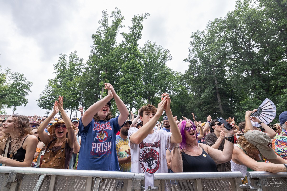 Fans loved the music, despite the gloomy weather | All Good Now