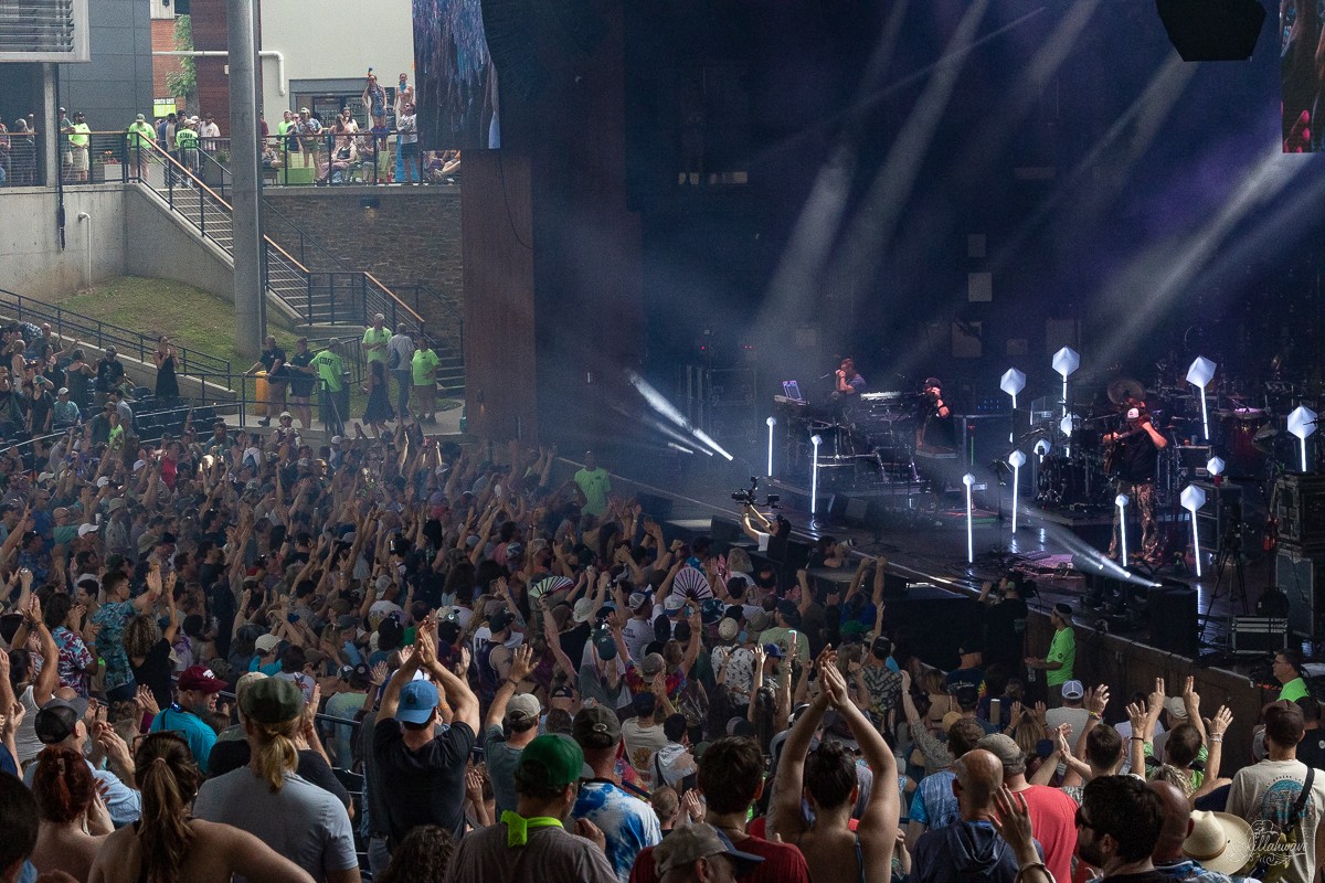 Fans reacted with excitement after "Svenghali" | The Disco Biscuits