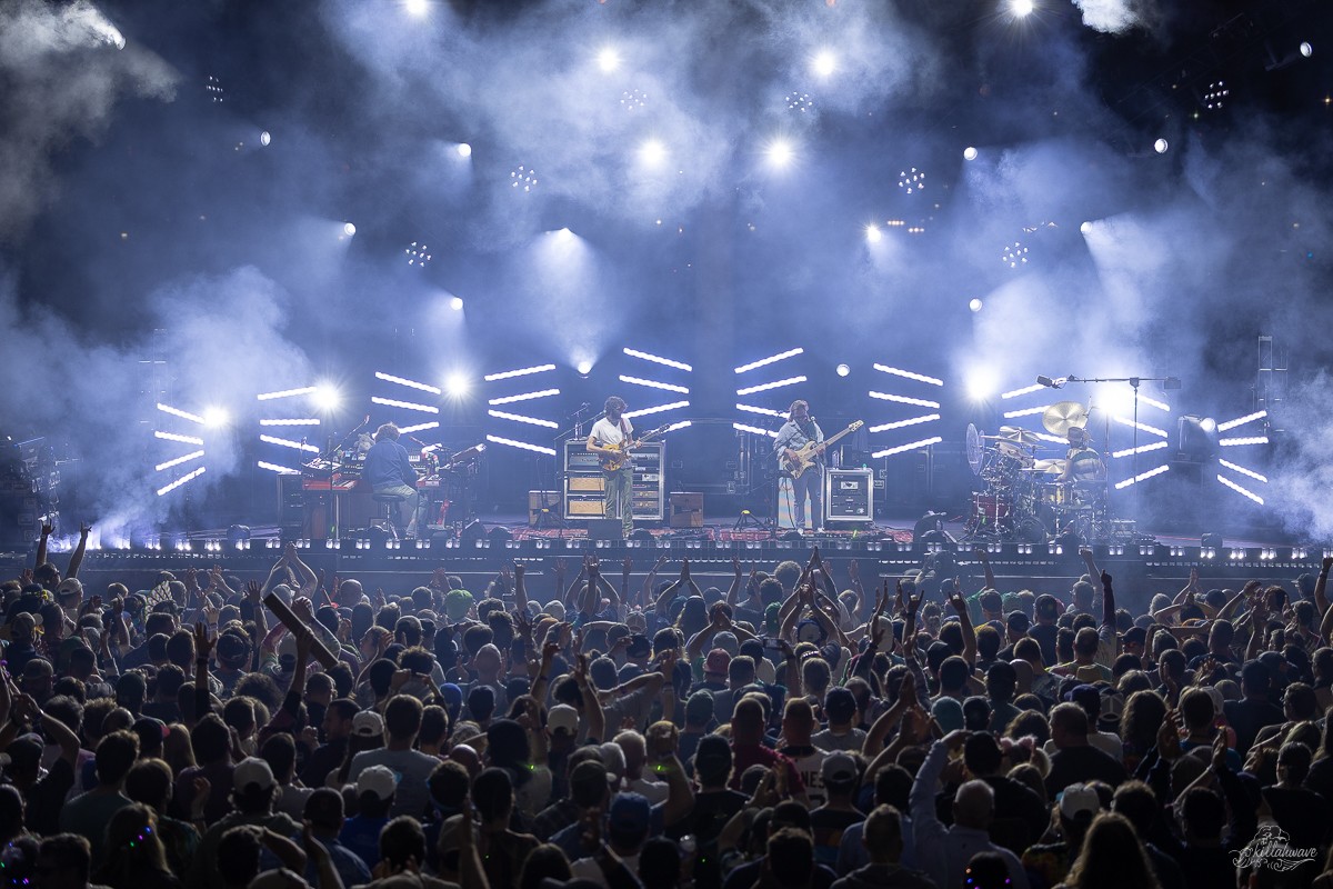 Goose | Jacob's Pavilion