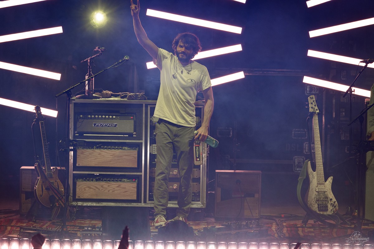 Goose | Jacob's Pavilion