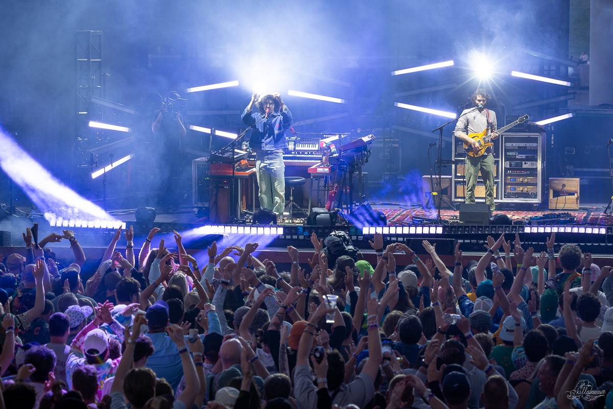 Goose | Jacobs Pavilion