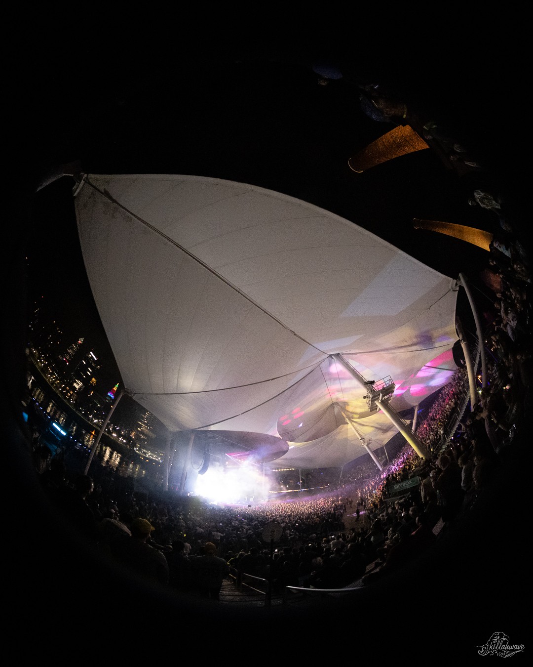 Goose | Jacob's Pavilion