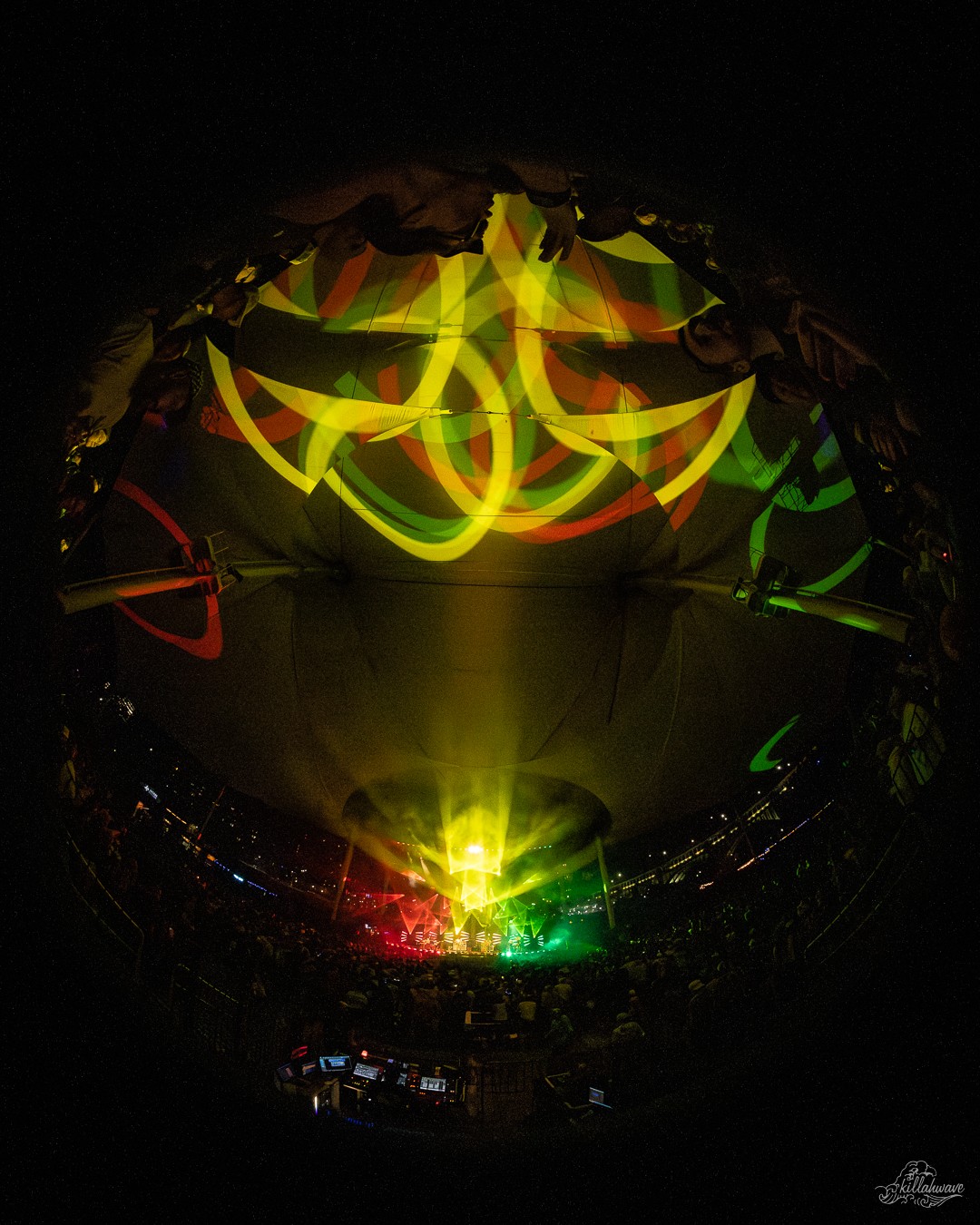 Goose | Jacob's Pavilion