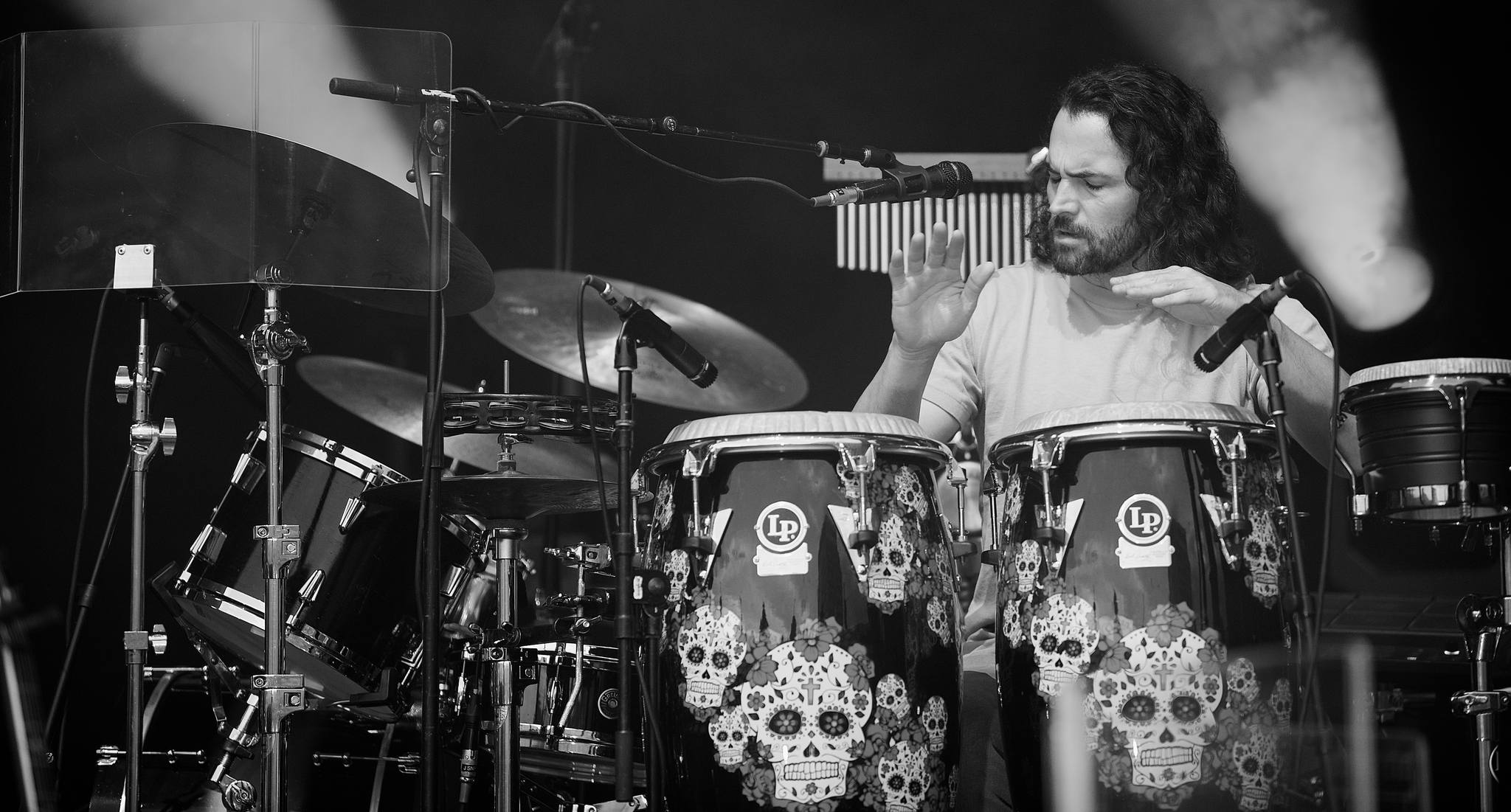 Jeff Arevalo | Goose