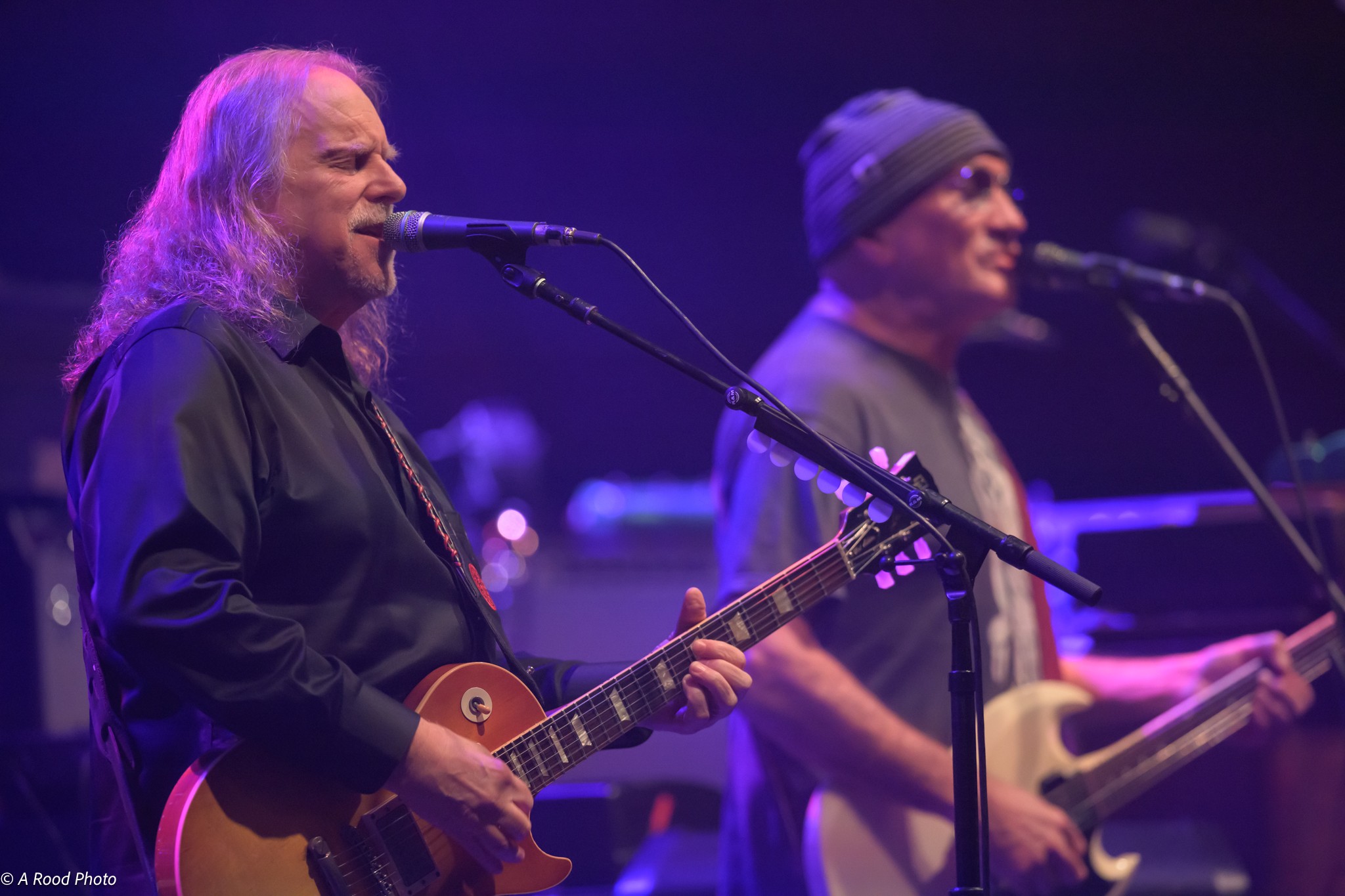 Gov't Mule | Wiltern Theatre