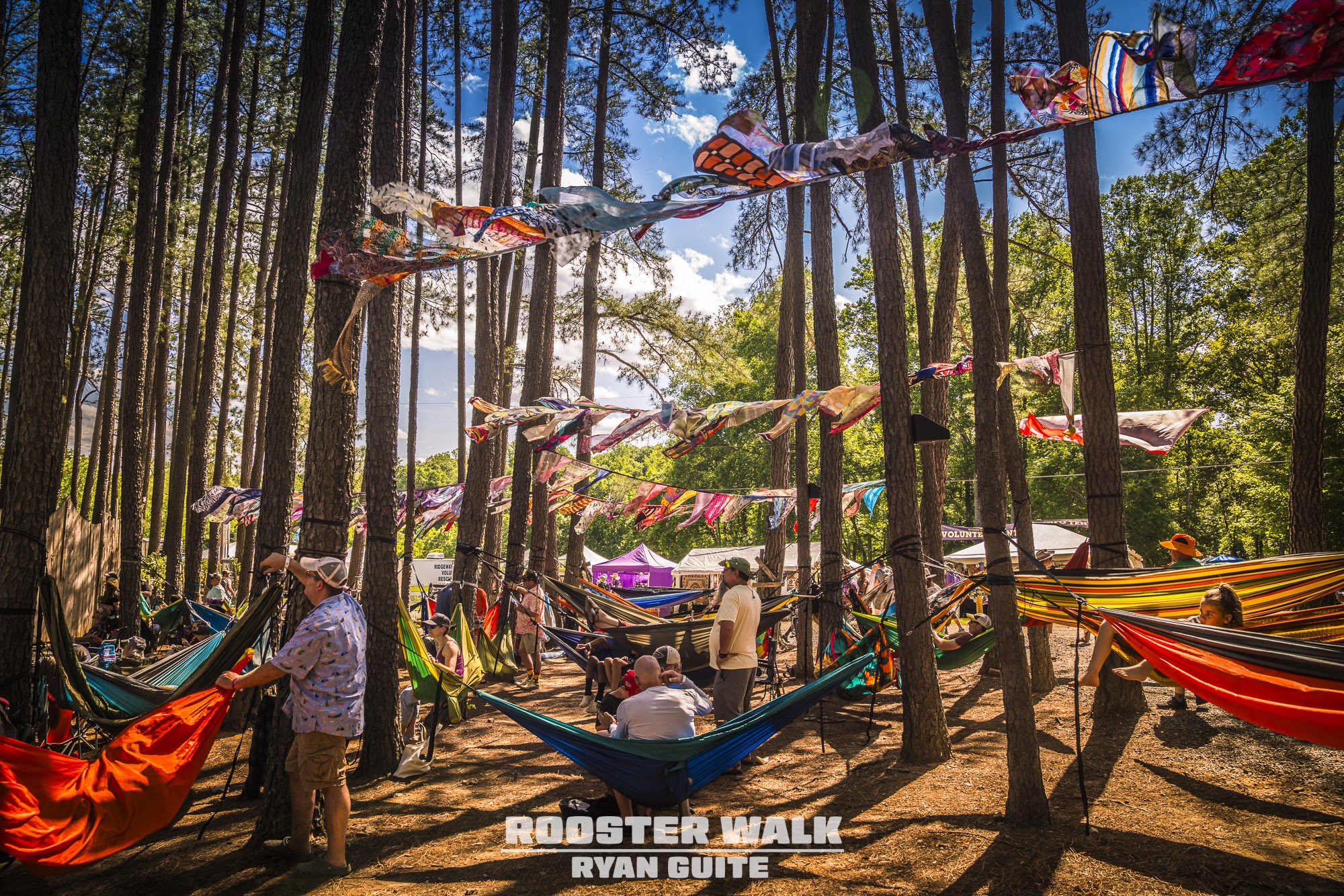 Rooster Walk Festival - photo by Ryan Guite