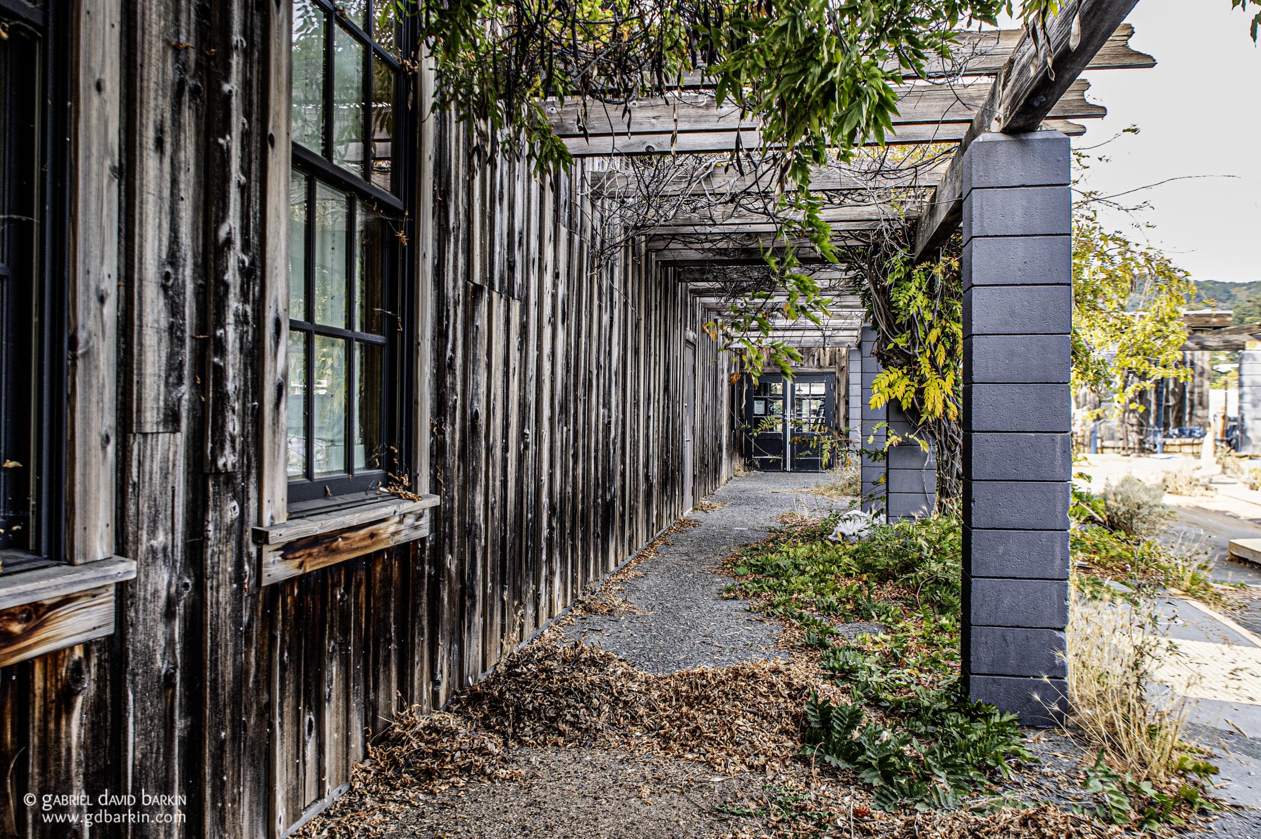 So many memories at Terrapin Crossroads