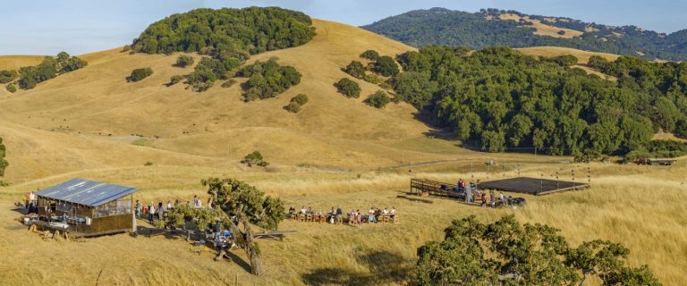 JAD Experience Presents ANIMALIS: Ballet, Cuisine & Nature Under the Stars at Tara Firma Farms (July 11–13 & 18–20)