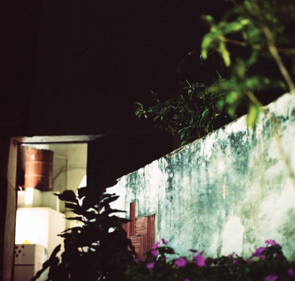 Guitarist Anthony Wilson Releases "House of the Singing Blossoms"