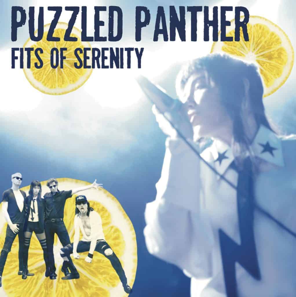 Casa Gogol's Puzzled Panther Announces New EP | Velvet Underground Cover Out Now