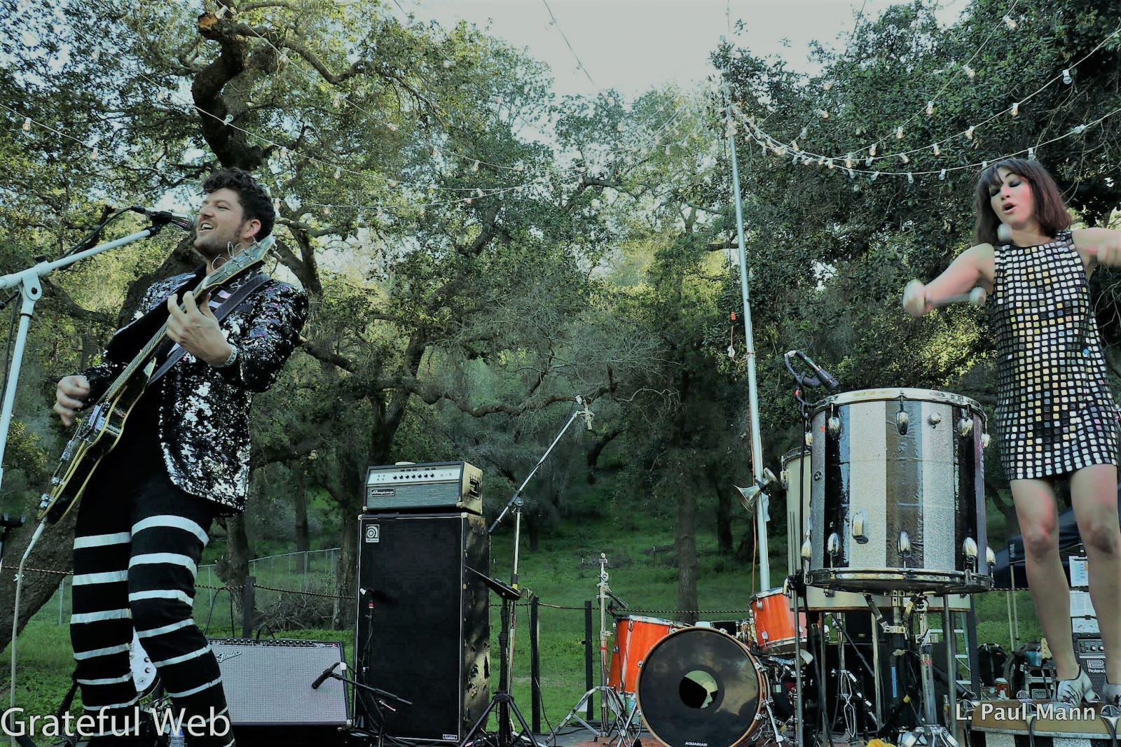 Elvis Depressedly | Starry Nites