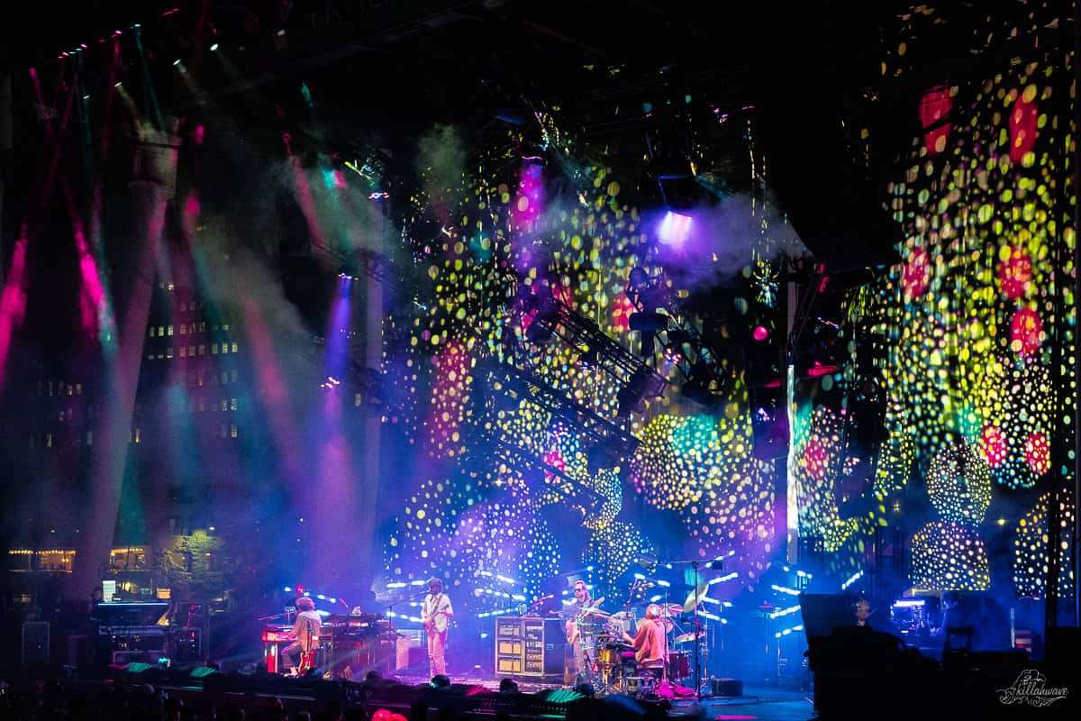 Goose | Jacobs Pavilion