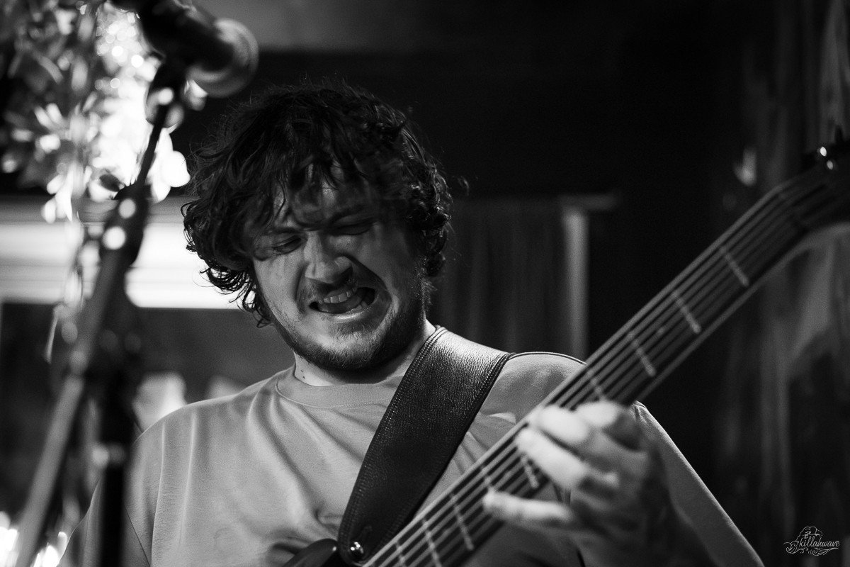 Bassist Max Perrotti | Big Shrimp