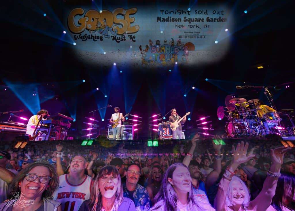 A Garden Gaggle: Goose Soars In Four-Hour MSG Blowout