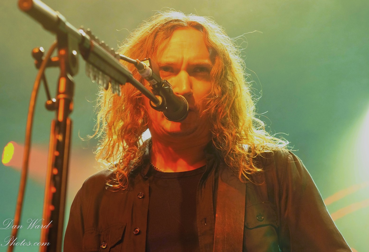 Dan Hawkins | The Darkness