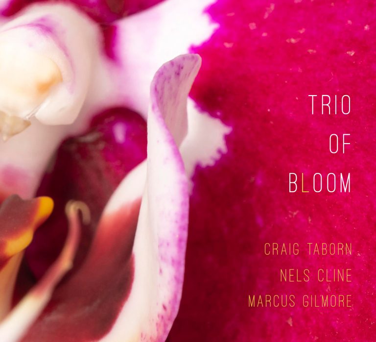 Craig Taborn, Nels Cline, and Marcus Gilmore—three of the most inventive voices in modern music—join forces as Trio of Bloom.