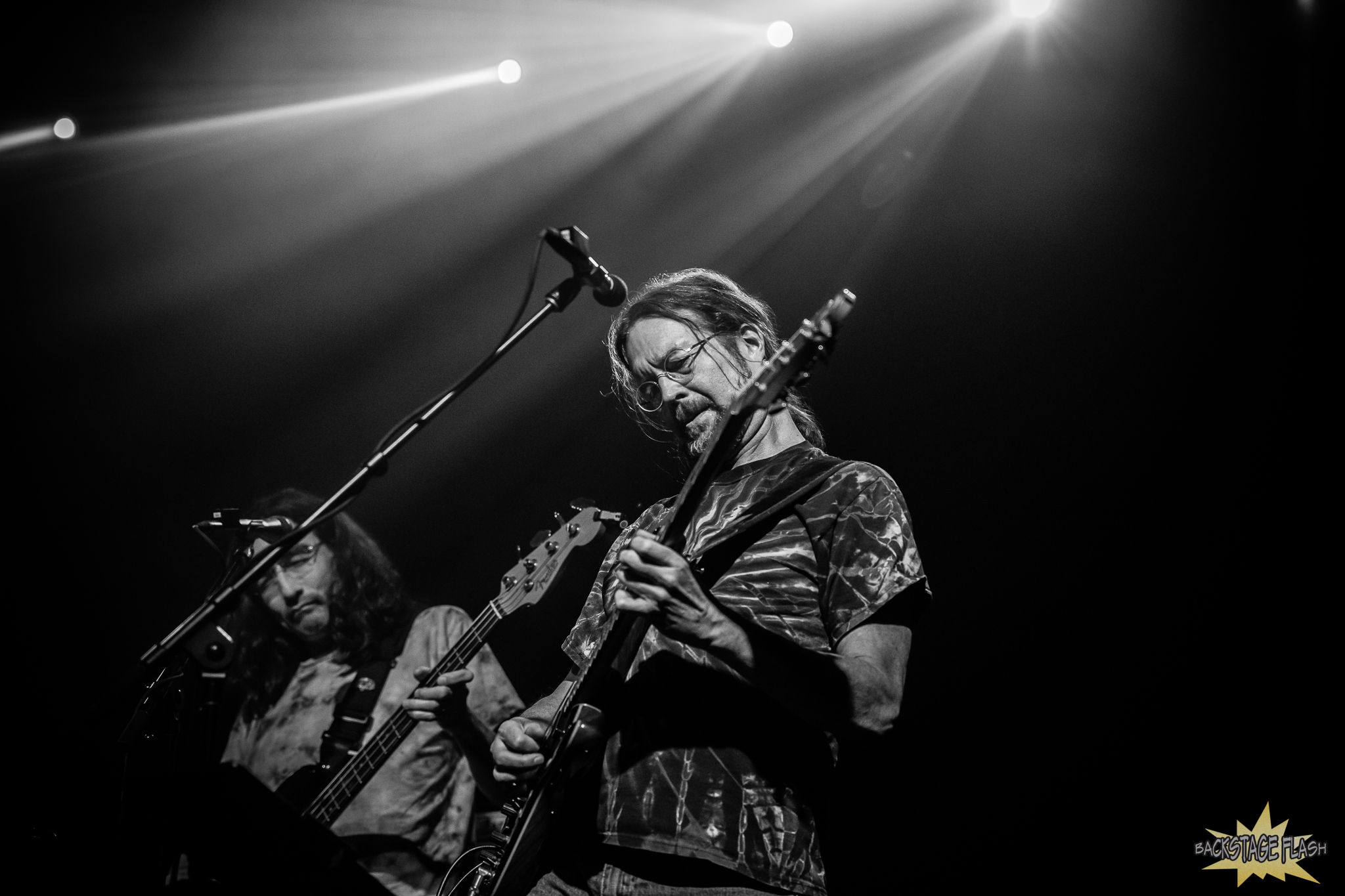 0Y2A9478 - Grateful Web