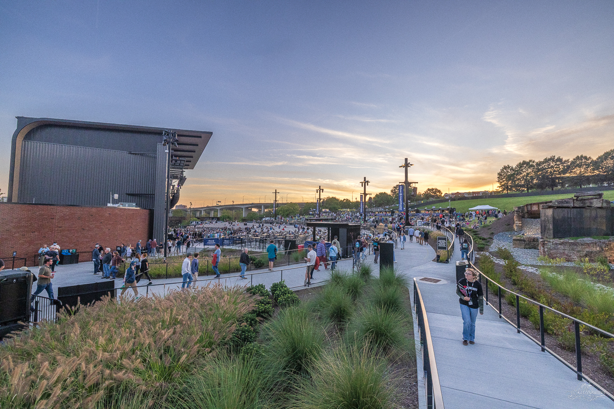 Goose | Richmond, VA