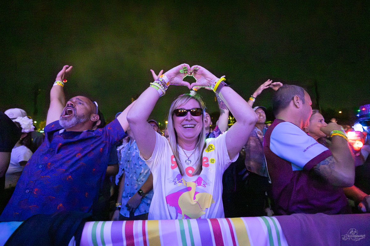 Goose | Richmond, VA