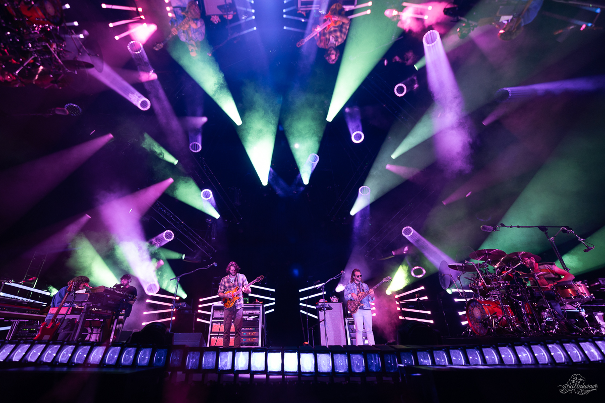 Goose | Richmond, VA