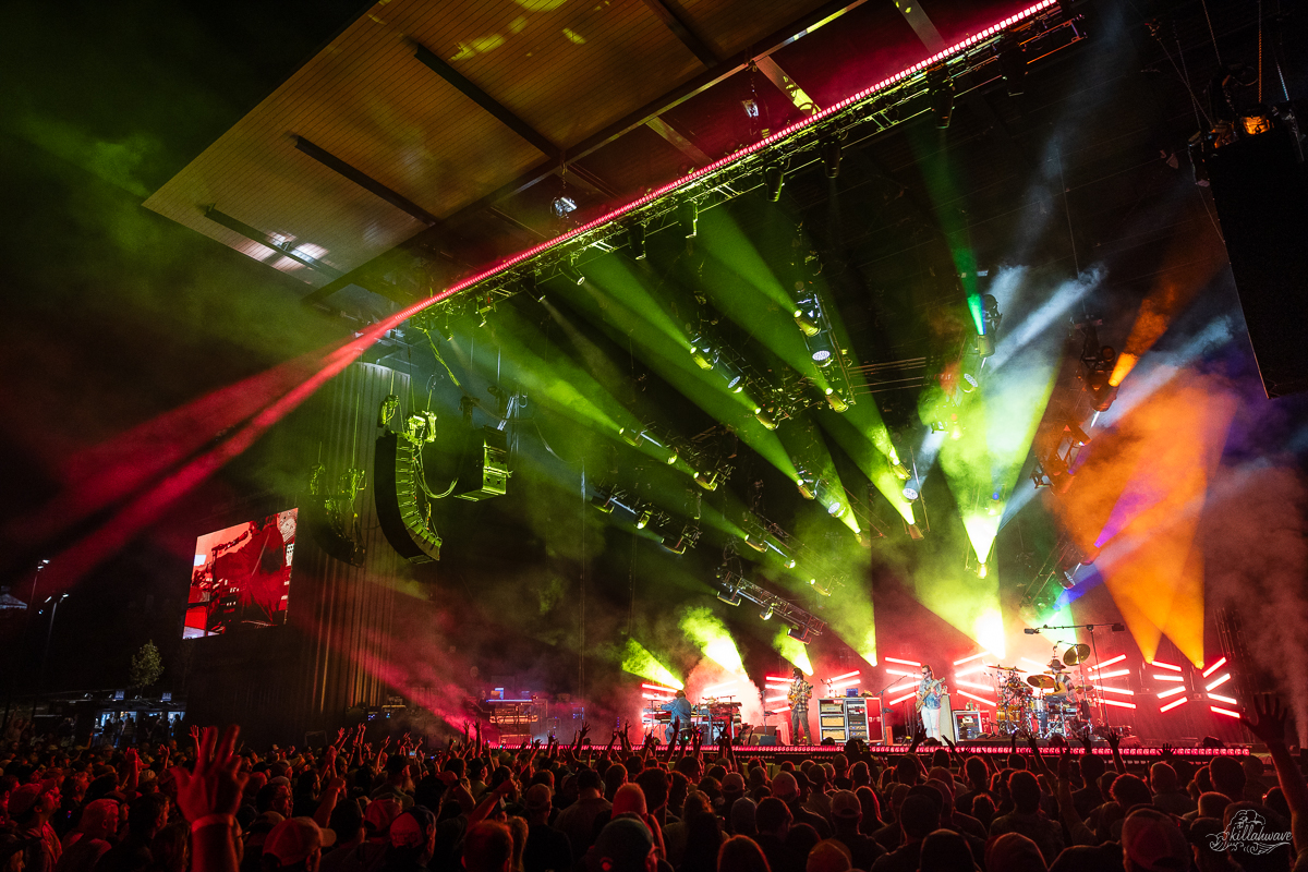 Goose | Richmond, VA