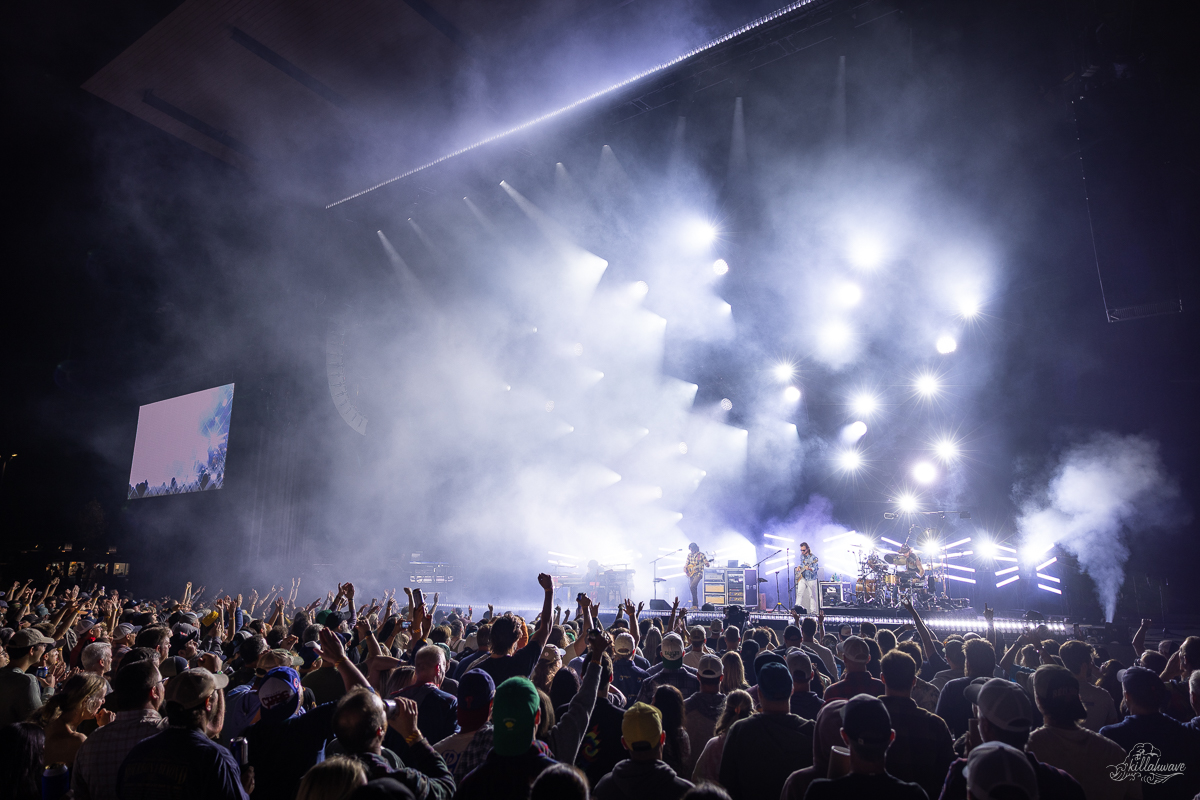 Goose | Richmond, VA