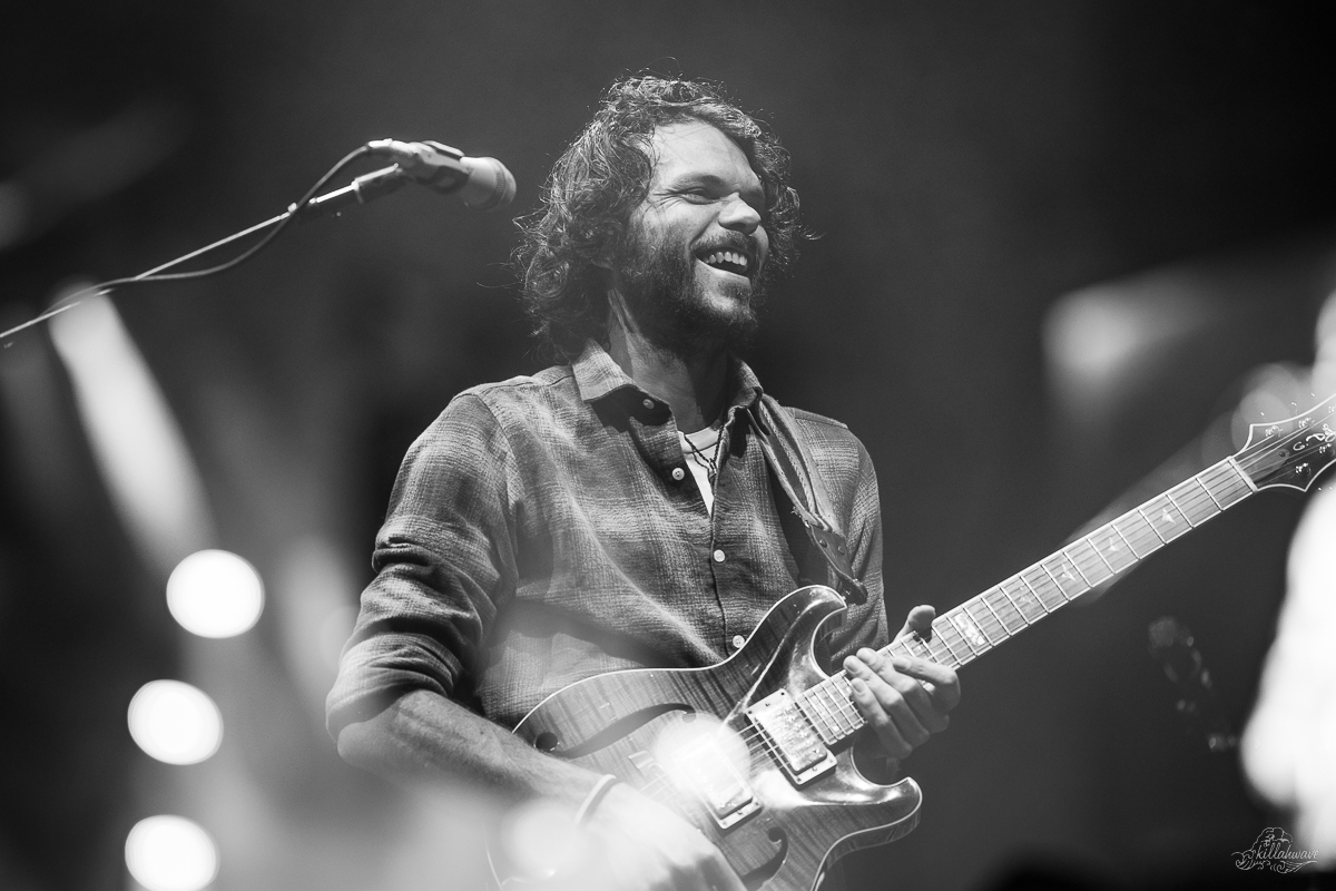 Guitarist Rick Mitarotonda | Goose