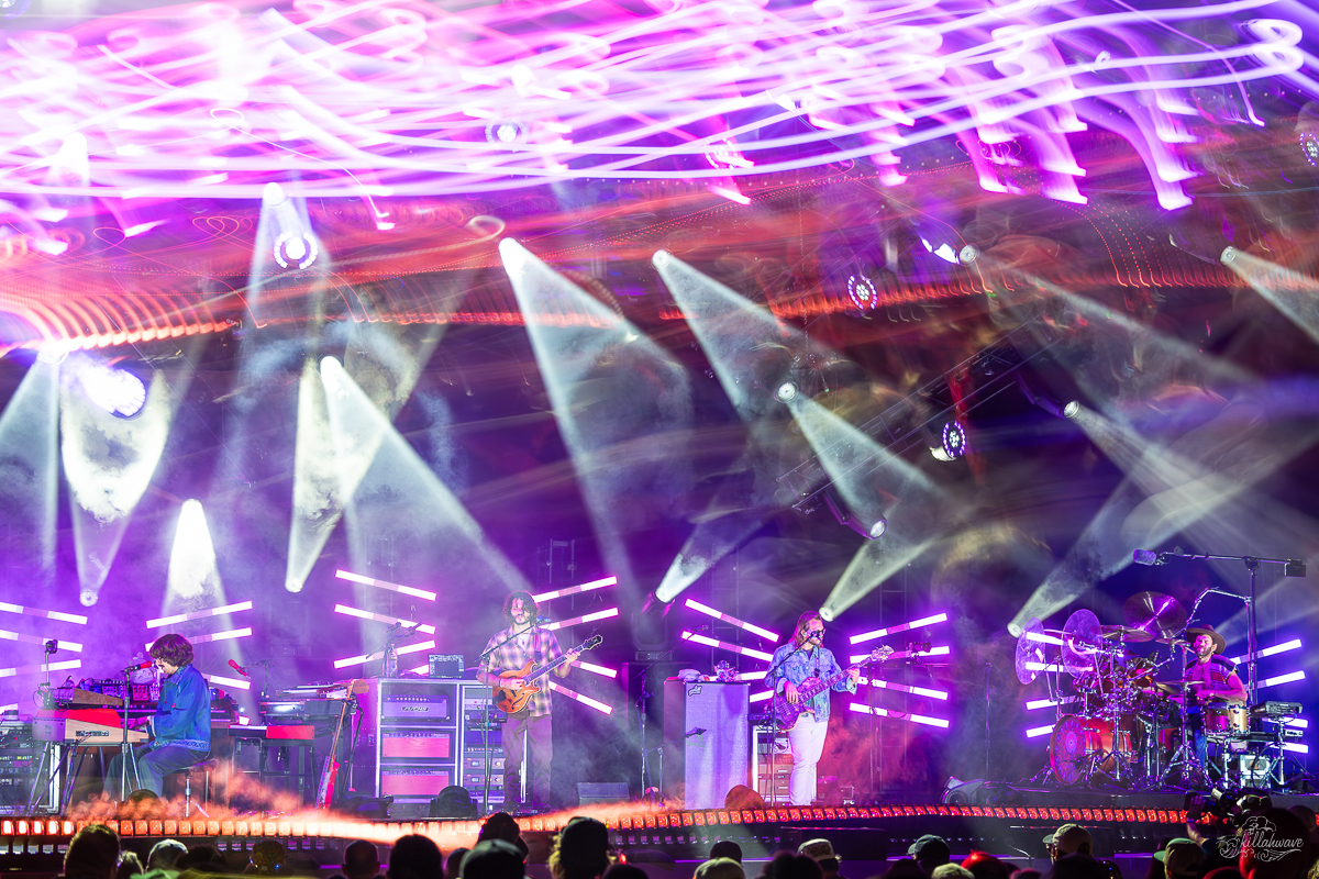 Goose | Richmond, VA