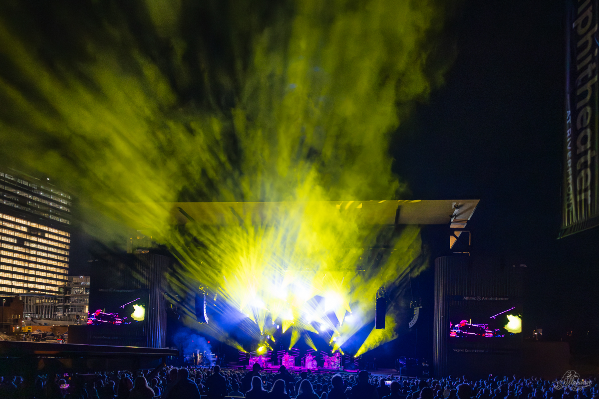 Goose | Richmond, VA