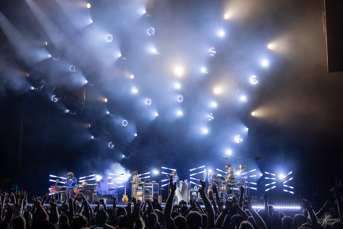 Goose | Richmond, VA