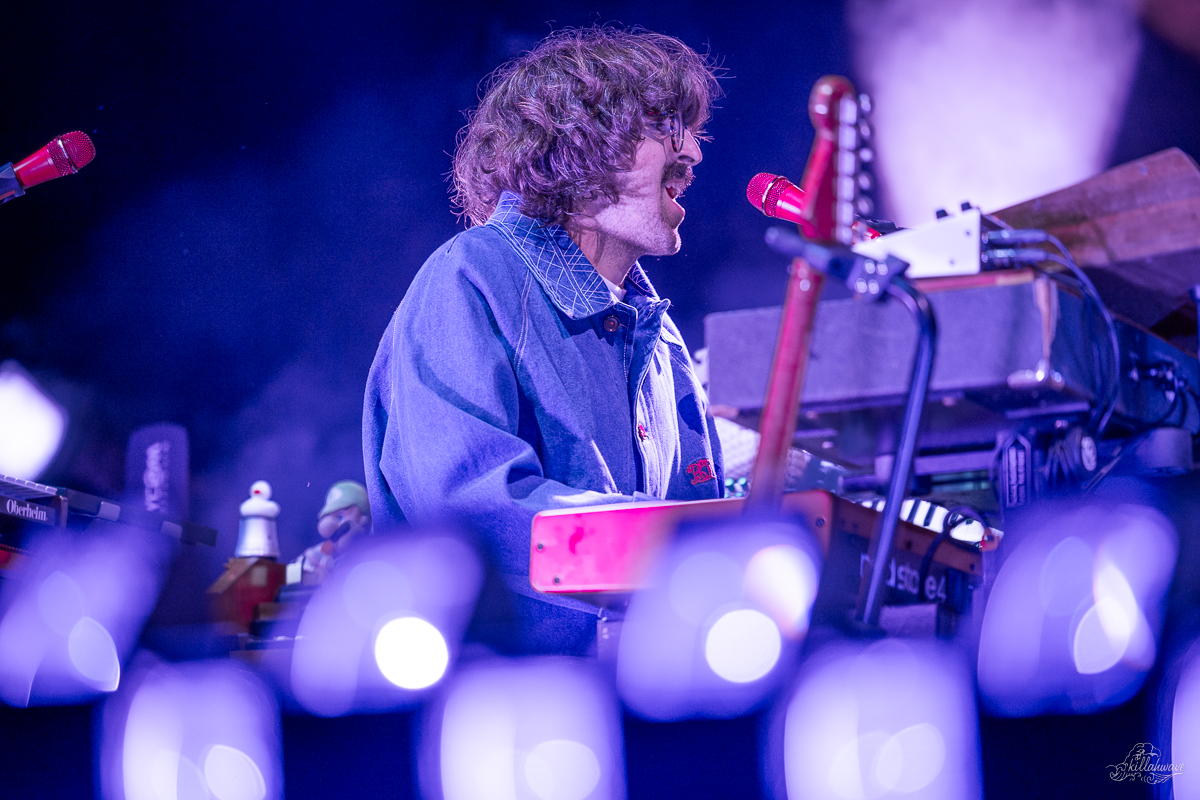 Multi-instrumentalist Peter Anspach | Goose