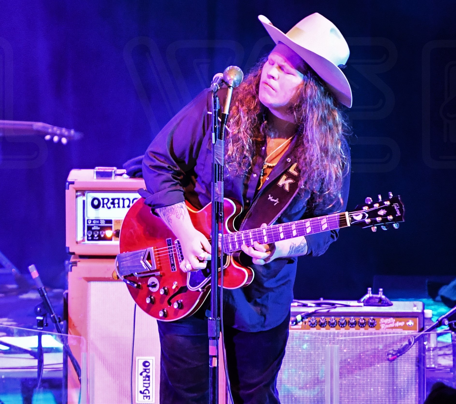 471315741_10161606491624667_6885487103676067034_n - Grateful Web