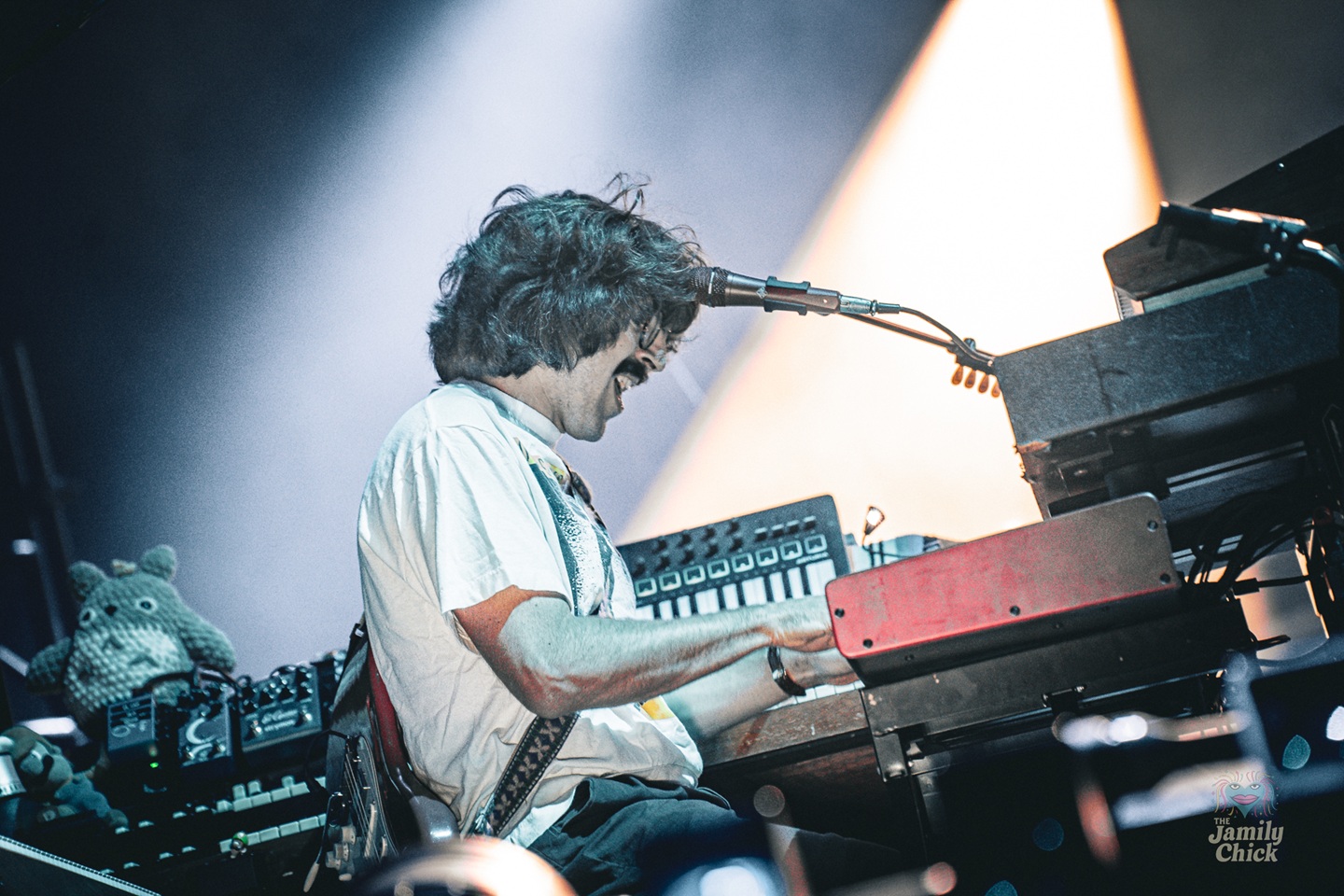 Peter Anspach | Goose