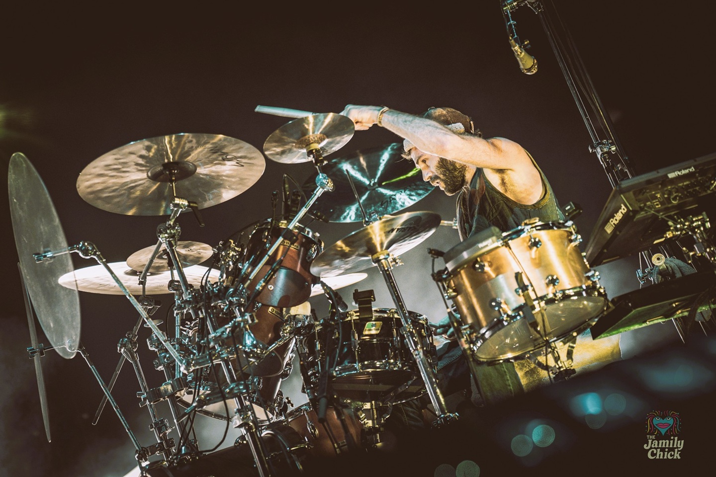 Cotter Ellis | Goose