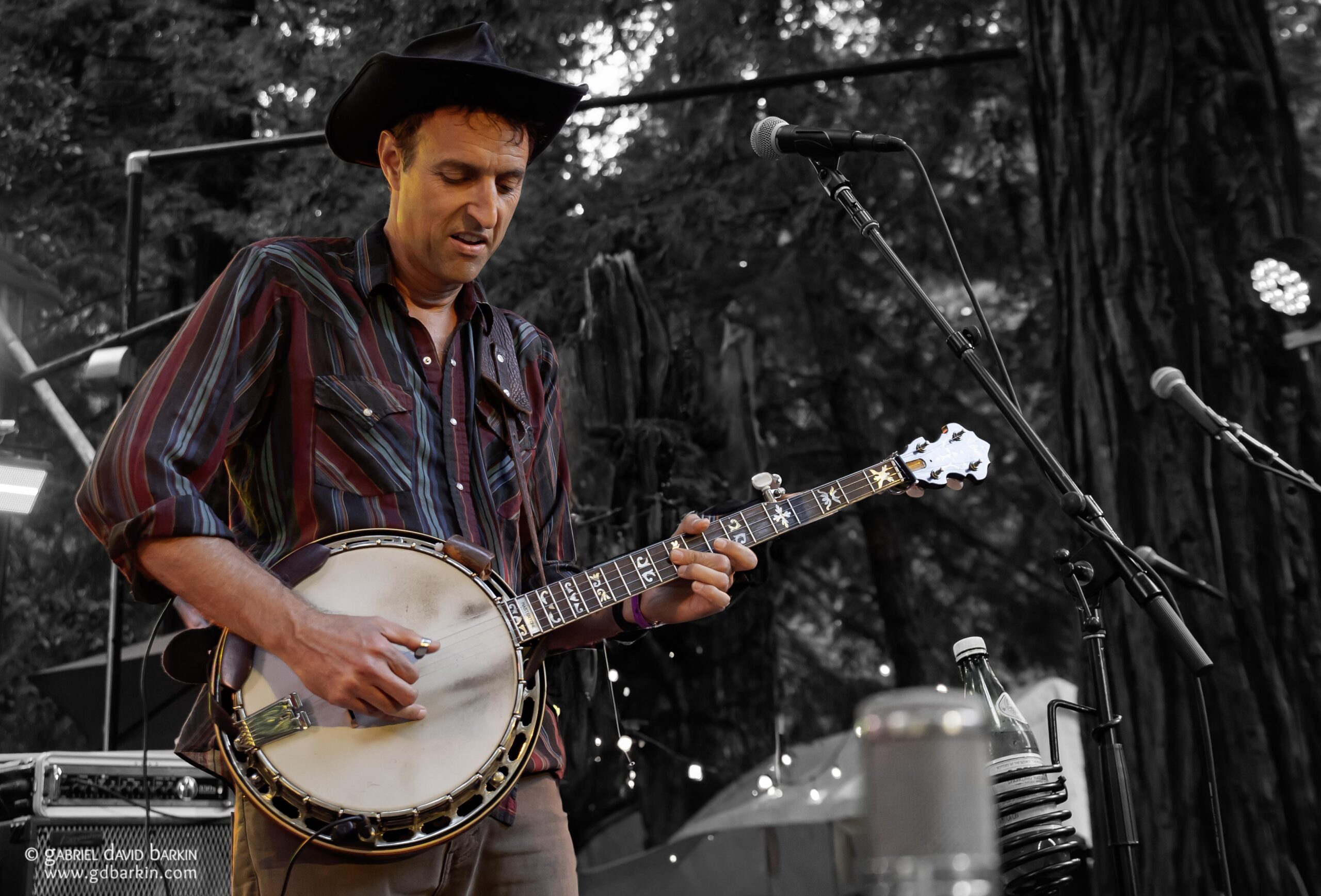 Gabriel David Barkin Photos - Grateful Web