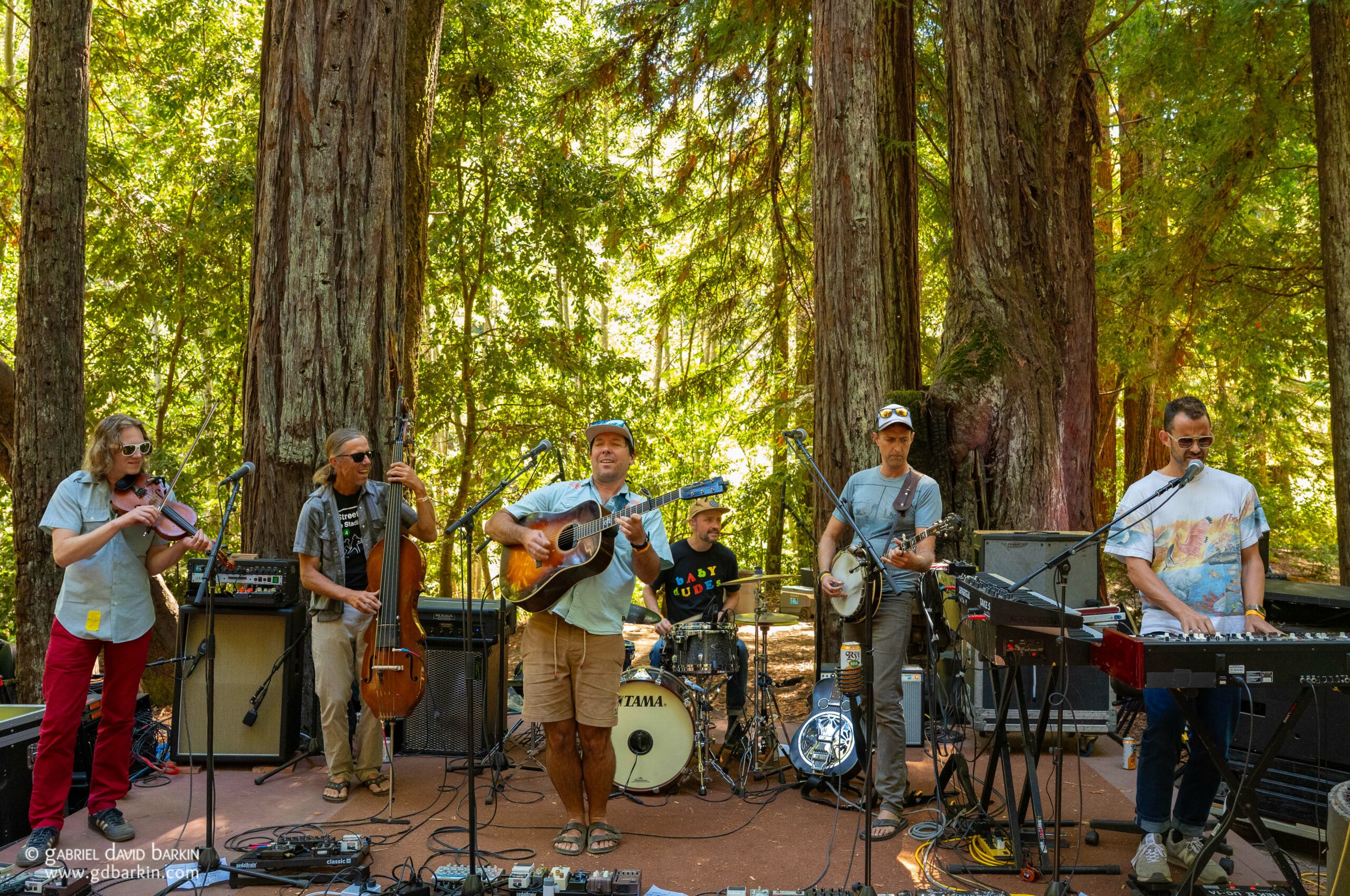 Hot Buttered Rum 1 - Grateful Web