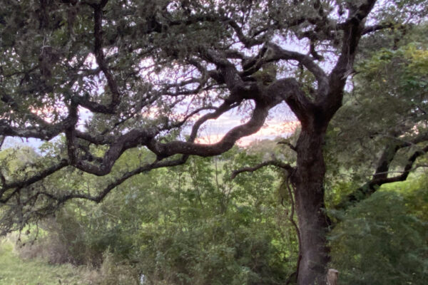 Terry Klein Releases Hill Country Folk Music Nov 7