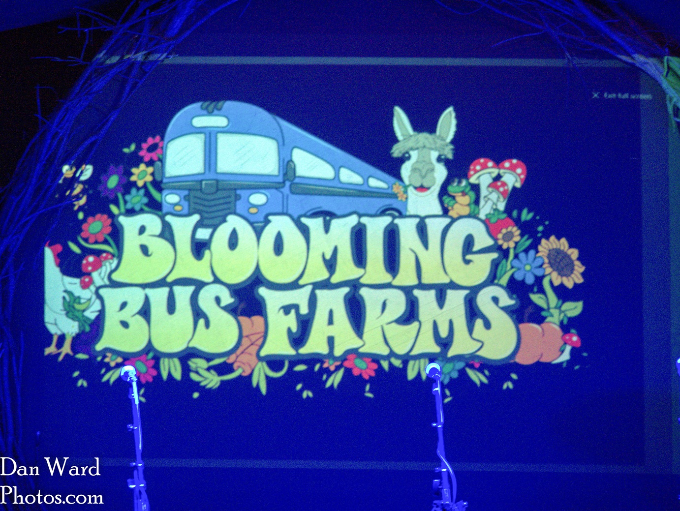 final-121 - Grateful Web