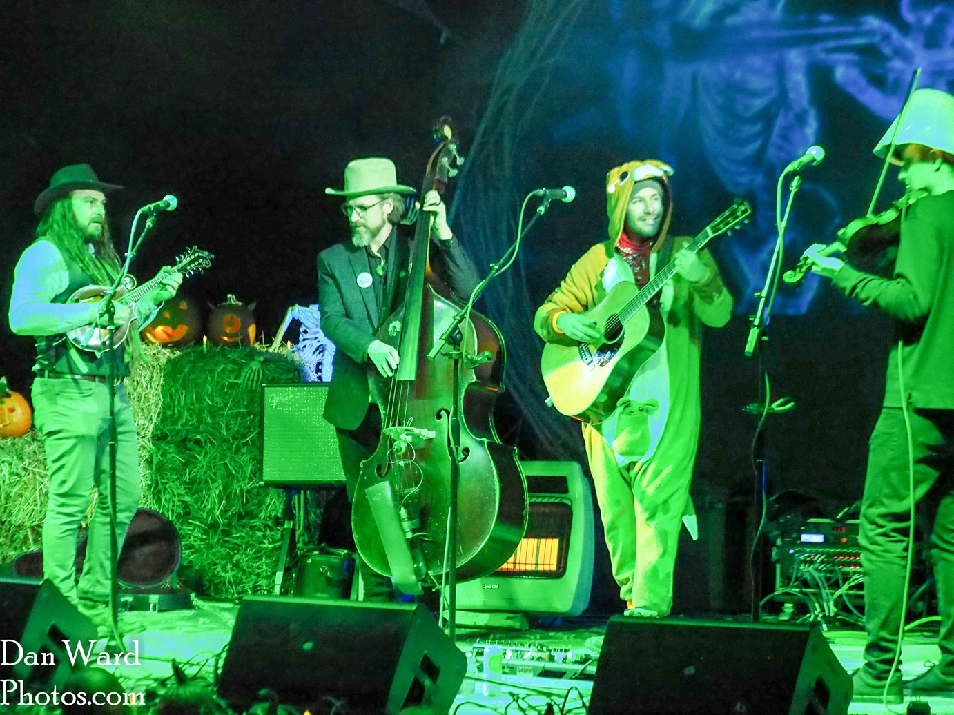 OLYMPUS DIGITAL CAMERA - Grateful Web