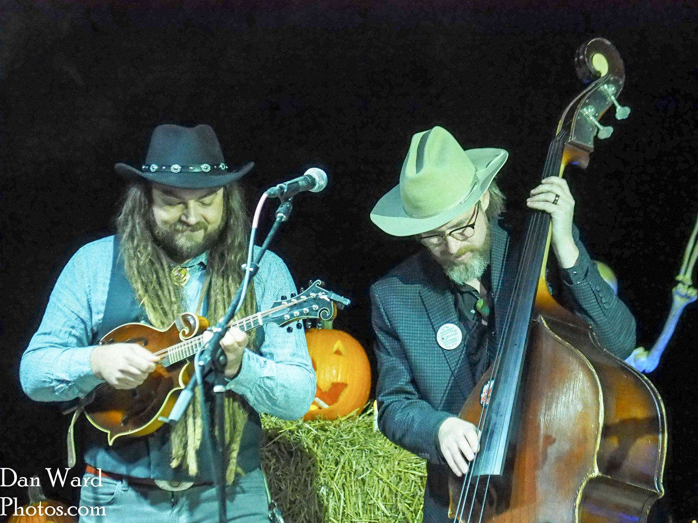 OLYMPUS DIGITAL CAMERA - Grateful Web