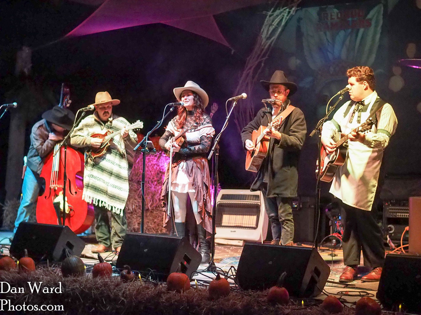 OLYMPUS DIGITAL CAMERA - Grateful Web