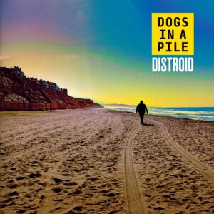 Dogs In A Pile Release New Album Distroid — Their Most Ambitious Studio Work Yet